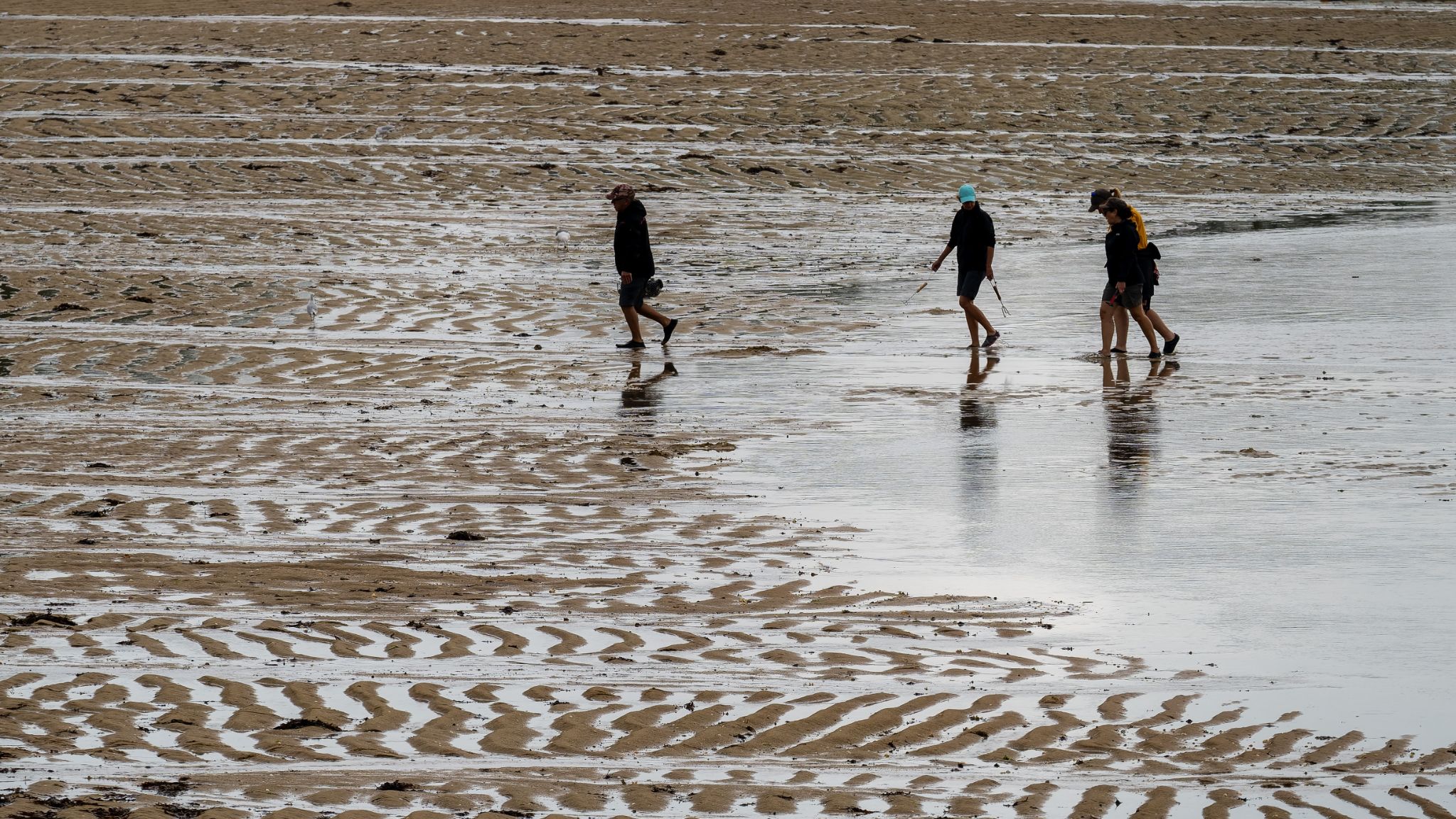 20250920 113834 Carnac   Avenue d'Orient, La Garenne
